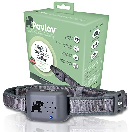 Collare digitale antiabbaio Pavlov - Per interrompere l’abbaiare del cane, senza scosse, solo suono e vibrazione, sicuro e umano, addestramento antiabbaio per cani di piccola e media taglia