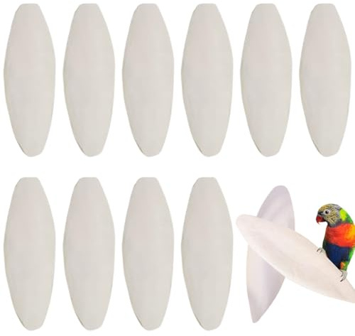 Lot de 10 jouets à mâcher en os de seiche pour oiseaux, 8-10 cm, os de seiche pour perroquets, jouets à mâcher et à broyer contenant du calcium, adaptés aux oiseaux, tortues et reptiles.