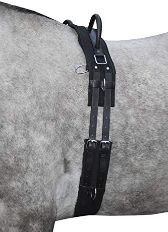 HKM 12701 Longiergurt Canvas, Fester Doppelgriff Longierbedarf Schwarz MS, 1 Stück (1er Pack)