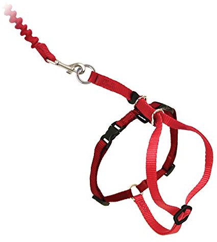 PetSafe Easy Walk Katzengeschirr, Mit elastischer Bungee-Leine, Für Spaziergänge mit Ihrer Katze, Größe L, Rot, CWMK-L-RED-19