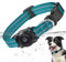 Airtag Hundehalsband, zu 100% wasserdichte Integrierte Apple AirTag Hundehalsbänder, Reflektierendes GPS Hundehalsband mit Hartem PC AirTag Halterungsgehäuse für Kleine, Mittlere & Große Hunde (Grün)