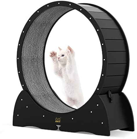 Katzenlaufrad Innen, Katzenlaufband mit Verriegelungsmechanismus Keine Installation, TPE Geräuschlose Rolle, Niedliches Katzenlaufrad für Haustierverlust und tägliche Übung (Schwarz)