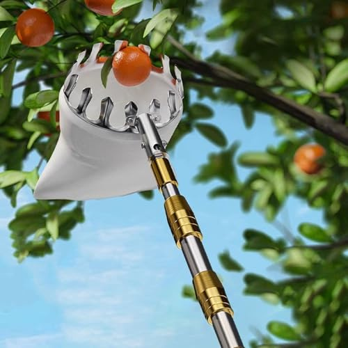 Recogedor de Frutas con Cesta, Recoge Frutas Telescopico, Herramientas para la Cosecha de Frutas de árboles Cítricos, Peras y Melocotones