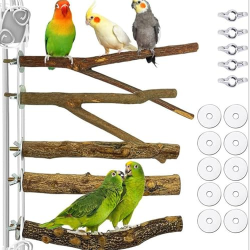 5 Piezas de Juguetes para Loros, Ramas de Perca para pájaros de Madera Natural, Soporte para Loros de Madera, Tenedor, Juguetes, Accesorios para Jaulas de pájaros Colgantes para, Jaulas de pája