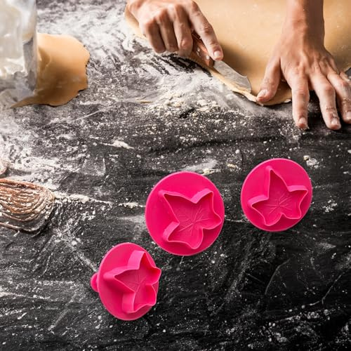 Set 3 Formine per Biscotti FOGLIE - Autunno, Stampi 3D in Plastica per Dolci, Pasta di Zucchero, Decorazioni per Torte, Ideali per Bambini e Feste, 3 Misure (SET 3)