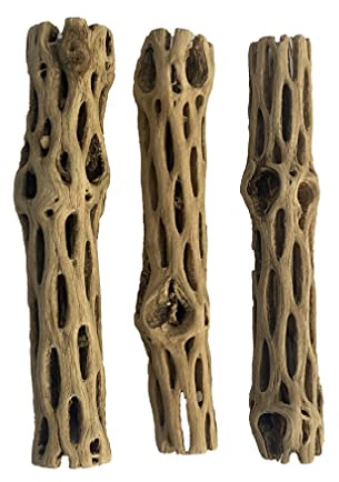 Awesome Aquatic Lot de 3 pièces en Bois de cholla/choya Naturel de 15.2 cm pour Habitat de crevettes, cachettes et Jouets à mâcher pour Reptiles sans épines, séchés biologiques