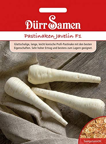 Dürr Samen 4155 Pastinaken Javelin F1 (Pastinakensamen)