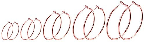 JewelryWe Schmuck 5 Paar Creolen Ohrringe Set Edelstahl Groß Rund Hängend Huggie Ohrringe Ohrhänger für Damen Mädchen, Durchmesser 30 40 50 60 70 mm, Schwarz Gold Silber Rosegold