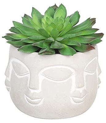 Sleepdown Halo Green Artificial Faux Plant Succulent Faces Pot for Home Office Bathroom Decor Indoor Decoration Aesthetics, Small