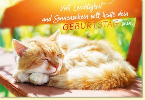 Gutsch Verlag Geburtstagskarte mit schlafender Katze auf Holzbank im Sonnenschein liebevoller Spruch Glückwunschkarte zum Geburtstag - mit Umschlag