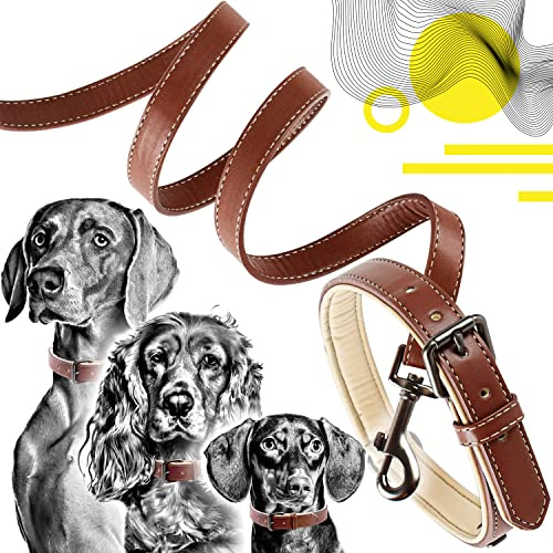 ne&no® Halsband und Leine Set (veganes Leder) Hundeleine mit Halsband I robuste Hundeleine mit Karabiner I Hundehalsband verstellbar I 1.2m Dog Leash I biegsam und extra weich (S, braun/beige)