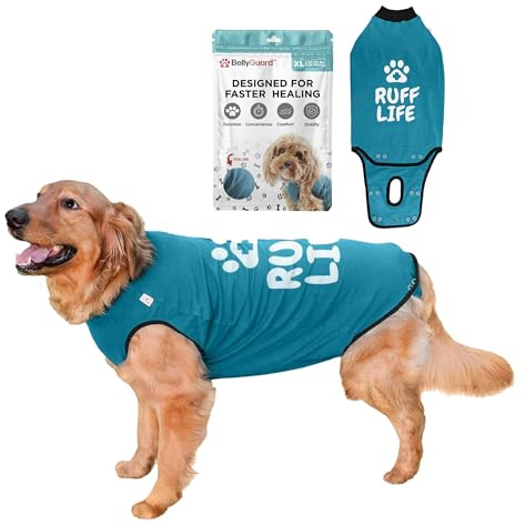 BellyGuard hundebody nach op hündin, op Body Hund kastration rüde, leckschutz für Hunde nach op, Hunde Body Operation hündin