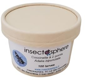 Larves de coccinelle à 2 points contre les pucerons des arbres frutiers & ornementaux, pucerons des rosiers et autres arbustes. (100 Larves)