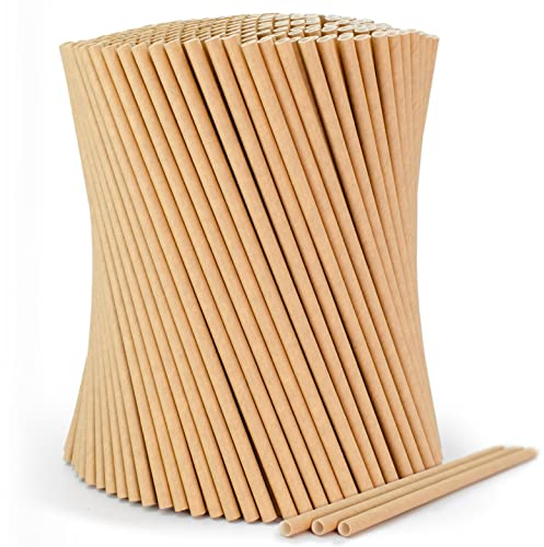 wisefood Lot de 200 pailles en papier, (2 lots de 100 pièces), marron, diamètre : 8 mm x 20 cm, sans PLA/PE (acide polylactique/polyéthylène), jetables, biodégradables, en papier kraft solide