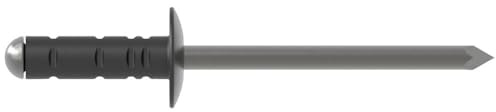 Gesipa e-FAST PolyGrip-Schaltschrankniet Flachrundkopf, für Handwerker/Mechaniker und Profis, Ersatzteil für Nietgerät, 1712694