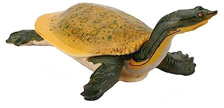VICASKY 1stück Kreatives Schildkrötenmodell Realistische Simulation Für Dekoration Und Spielzeug Geeignet Für Tierliebhaber Für Aquarium Und Lernzwecke