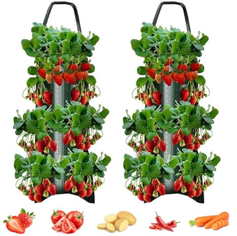 LUMOOM 2 Pezzi Sacchetto Di Coltivazione Sospeso, Sacchetti Per Fragole Con 8 Fori, Sacchetto Da Giardinaggio Con Maniglia Per Esterni, Sacchetto Per Pomodori, Fiori, Erbe, Verdure