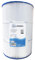 AllSpares Filtre à eau pour jacuzzi - Cartouche filtrante pour piscine Waterair CFR75 / CFT75 / PJ75 / C-9475 - Diamètre : 252 x 362 mm