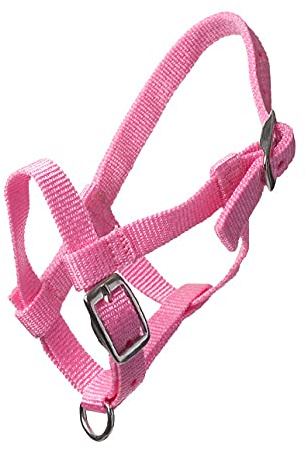 HB Nylon Mini Foal Halter - Size MINI