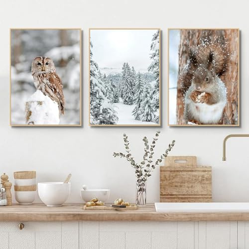 champracer 3er Bilder Mit Wintermotiv Poster, Moderne Winter Schnee-Szene Wandbilder Set, Premium Leinwand Bilder Wohnzimmer, Tannenwald, Eichhörnchen, Eulen Ohne Rahmen Kunstdruck (30x40 cm)