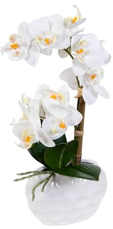 Seidenblumen Roß Künstliche Orchidee Real Touch 34cm in Keramikvase weiß DP – Phalaenopsis wie echt mit 14 Blüten & Wurzelwerk – Hochwertige Kunstblume in Vase (Weiß)