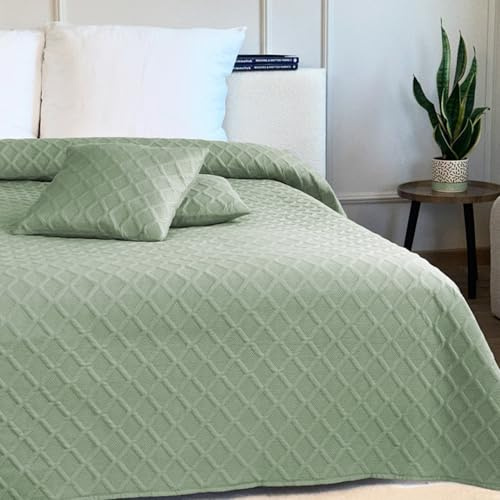 Euromat Tagesdecke Steppdecke Bettüberwurf Gesteppte Zweiseitig Tagesdecke mit 2 Kissenbezüge 40x40 cm- (Pastellgrün- Parla 3D, 220x240 cm)