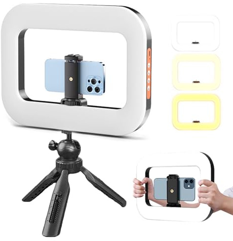 Rechargeable Selfie Portable Ring Light – Adjustable Bicolor Fill Light, Smartphone Video Rig with Lights, 3 Light Modes Handheld LED Ring Lights Selfie Lights Phone Video Stabilizer for Phone (B)