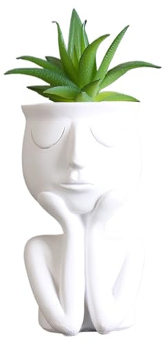 Whyzsjnclg Macetero de Cara, macetero de Cara, de Resina para Plantas de Interior, macetas pequeñas, de Cactus de Resina Impermeable, jarrones Modernos para decoración de Escritorio de Oficina