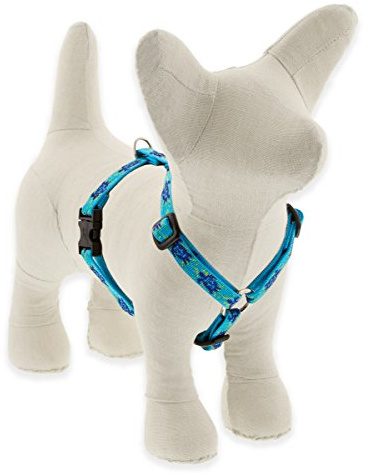 LupinePet Originals 1/2 Turtle Reef 12-20 Adjustable Roman Dog Harness for Small Dogs