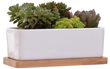 FUNOMOCYA Vaso da fiori creativo in porcellana bianca con vassoio, vaso rettangolare per piante grasse, mini cactus e piante aeree, resistente al calore e stabile, per ufficio e casa