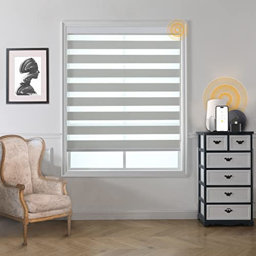 MUSCLEAREA Motorized Zebra Blinds Smart Blinds with Remote Electric Shades for Indoor Windows Light Filtering Automatic Dual Layer Horizontal Shades Compatible with Google Alexa Grey 24 W X 72 H