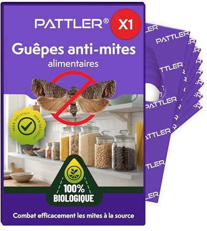PATTLER® Schlupfwespen gegen Lebensmittelmotten – 1 Karte à 4 Lieferungen – Lebensmittelmotten bekämpfen ohne Chemie – Alternative zur Mottenfalle, Mottenspray & Pheromonfalle