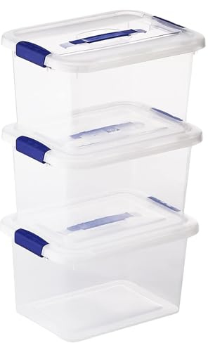 TIENDA EURASIA® Cajas de Almacenaje de Plastico - Lote 3 Cajas Apilables con Tapa Abatible y Asas - Ideal para Almacenar los Productos del Hogar, Ropa, Juguetes (S - 36 x 27 x 20 cm - 12L)