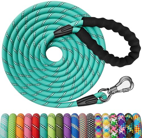 X XBEN Correa Perro Adiestramiento, Correa Perro Larga con Gancho Bloqueable, Correas de Adiestramiento para Perros Grande y Pequeño, Reflectante y Duradero, Turquesa, 10M x 10mm