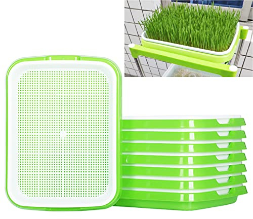STCRERAG 5 Vassoi per Germinazione Vassoio per la Germinazione dei Semi in Plastica 34*25*4 CM Germogliatore di Semi in Plastica Vassoio per Avviamento dei Semi Altamente Traspirante Durevole, Verde
