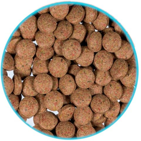 500 ml - 1,4 L (350 g - 1 KG) Bodentabletten FD Futtertabletten Welsfutter Garnelenfutter Fischfutter für bodenfressende Fische und Garnelen (500 ml / 350 g)