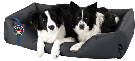 BedDog Hundebett Zara Hundekissen Hundekorb mit Waschbarem Bezug | Hundematratze und Kuschelplatz für Kleine und Große Hunde, Robust Gepolstert, Sechs Größen von S bis XXXL