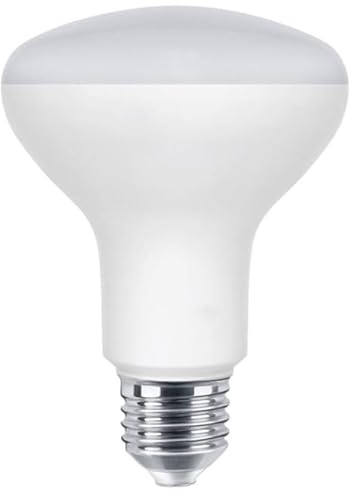 LED Reflektor R80 E27 Birnen, 15W 1300 Lumen Lampe, 6000K KaltweißErsetzt 120W Glühlampe, R80 LED Reflektorlampen für Deckenstrahler Mit 230° Abstrahlwinkel, Nicht Dimmbar (6000K-Kaltweiß, R80-15W)
