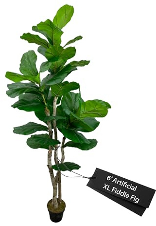 Cypress & Alabaster Handmade 6ft Oversized Fiddle Leaf Fig Ficus Lyrata Artificial Tree with Ethically Sourced Real Wood Trunks, Hypoallergenic, 6-Foot, Green