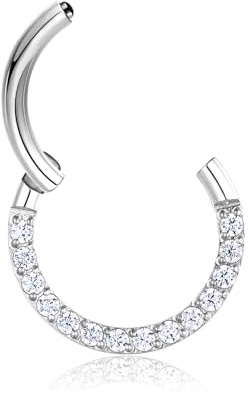 Lantine 16g/18g Septum Piercing Zirkonia Nasenpiercing Daith Rings 6/8/10mm | Lantine Silber Gold Rosegold Schwarze Septum Segmentring Clicker Nasenring Chirurgenstahl Helix Tragus Rook Ohr Piercing