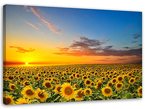 Feeby, Leinwandbild, Bilder, Wand Bild, Wandbilder, Kunstdruck 80x120cm, Wiese, Blumen, Sonnenblume, Himmel, Natur, Landschaft, GELB