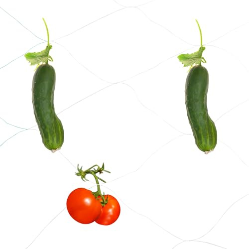 sourcing map Red de enrejado para plantas trepadoras de 328 pies x 10 pies, 6 hebras, red de apoyo de polietileno resistente con malla de 12 x 12 pulgadas para frutas, verduras, pepino, blanco y verde