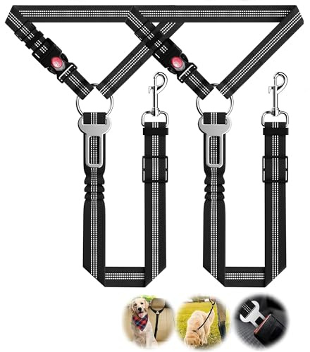 CEASELESLY 3 en 1 Ceinture de sécurité Chien Voiture,Iaisse de Course pour Chiens,Réglable en Ceinture Chien Absorbe Les Chocs élastique,Empêche la Conduite perturbée,Assure la sécurité