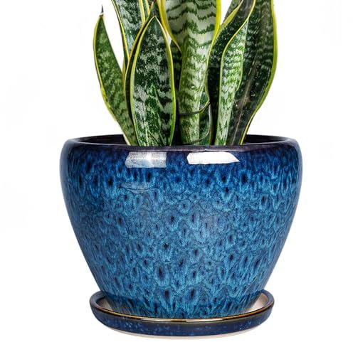 Ceramicfor 20,3 cm Keramik Pflanztopf Keramik Pflanztopf für Innen Außen Pflanzen Rund Blumentopf mit Drainageloch und Untersetzer, Blau