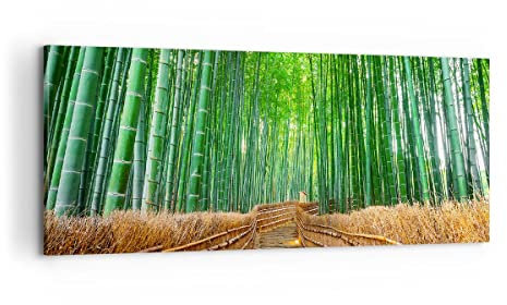 Panorama Bilder auf Leinwand 100x40cm Leinwandbild mit Rahmen Bambus Pflanze Groß Wanddeko Bild Schlafzimmer Küche Wandbilder Dekoration Wohnzimmer Wall Decor Canvas Wand Kunstdruck Art AB100x40-3979