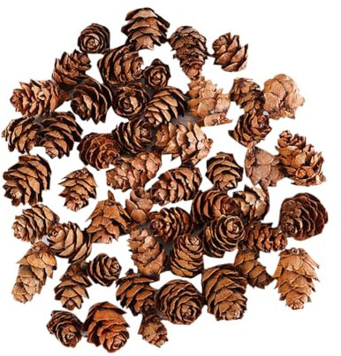 HugeDE 100 Pcs Christmas Pine Cones Small Natural Pine Cones Winter Pinecone Ornaments Mini Rustic Pinecones Xmas Tree Pinecones for Home Decor