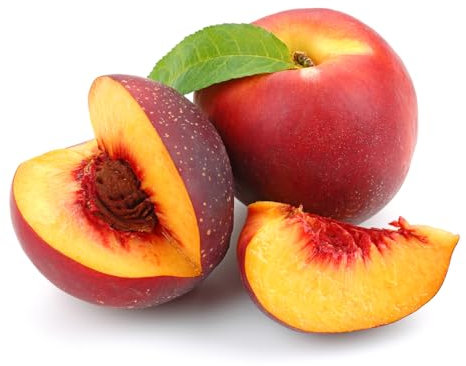 Nectarine Trees, Multi-Pack, 2 x Full Plants in 10 Litre Pots, Garden Fruit, Nectarine, Large Trees, 1.2m to 1.4m Height, Garden Ready and Ready to Plant, Premium Quality Fruit