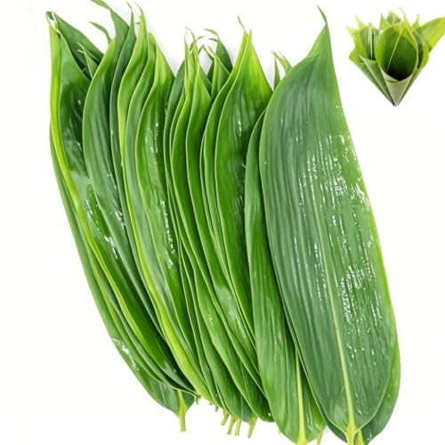 Bamboo Leaf Sushi Plate 100 Pcs Large 18“ x 4” Medium 13.8” x 3.2”，Banana Leaf Substitutes，Food Decorate Fresh Vacuum Bamboo Leaves Dish Decoration Photography of Dishes，Banana Leaves Make Zongzi