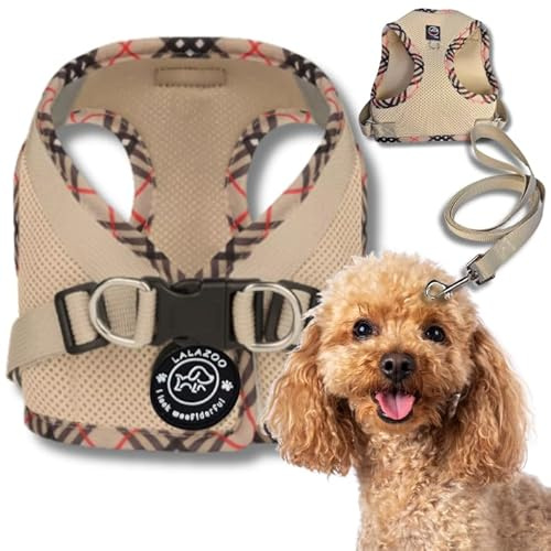 Lalazoo Benxi Step-In Hundegeschirr für kleine Hunde & Welpen mit Leine – atmungsaktives weiches Brustgeschirr, gepolstert, reflektierend, verstellbar mit Doppel-D-Ring – Beige, XS