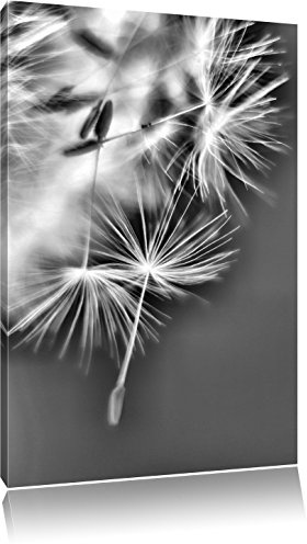 Pixxprint Wunderschöne Pusteblume, Größe: 80x60cm, Leinwandbild, fertig gespannt, Wandbild, Dekoration, Kunstdruck, kein Poster